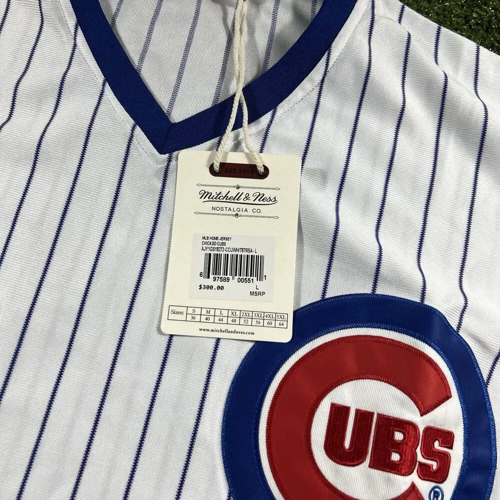 Mitchell & Ness Cubs Ryne Sandberg Baseball Jersey Size XL NWT
